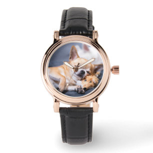 Cutest Baby Animals Red-haired Chihuahua Dog Watch