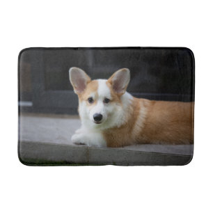 Cutest Baby Animals   Relaxing Corgi Puppy Bath Mat