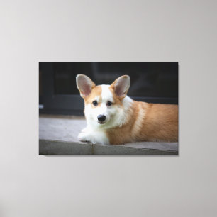 Cutest Baby Animals   Relaxing Corgi Puppy Canvas Print