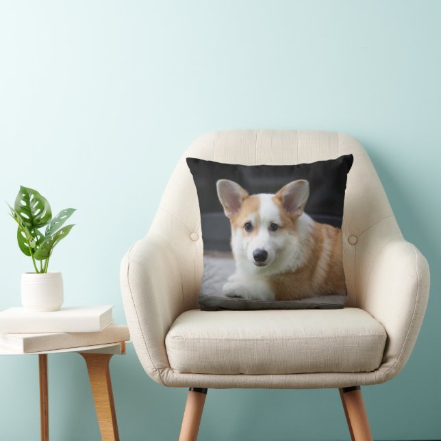 Cutest Baby Animals | Relaxing Corgi Puppy Cushion (Chair)