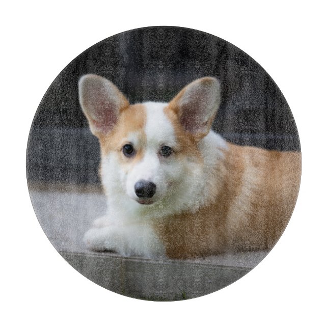 Cutest Baby Animals | Relaxing Corgi Puppy Cutting Board (Front)