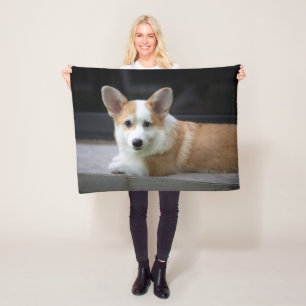 Cutest Baby Animals Relaxing Corgi Puppy Fleece Blanket