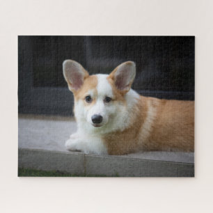 Cutest Baby Animals Relaxing Corgi Puppy Jigsaw Puzzle