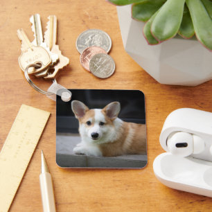 Cutest Baby Animals   Relaxing Corgi Puppy Key Ring