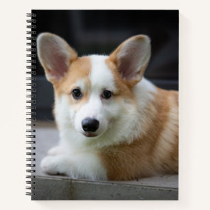 Cutest Baby Animals Relaxing Corgi Puppy Notebook