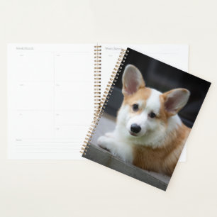 Cutest Baby Animals Relaxing Corgi Puppy Planner