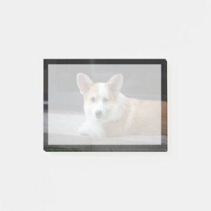 Cutest Baby Animals Relaxing Corgi Puppy Post-it Notes
