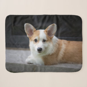 Cutest Baby Animals Relaxing Corgi Puppy Sherpa Blanket