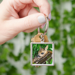 Cutest Baby Animals Roe Deer Baby Key Ring