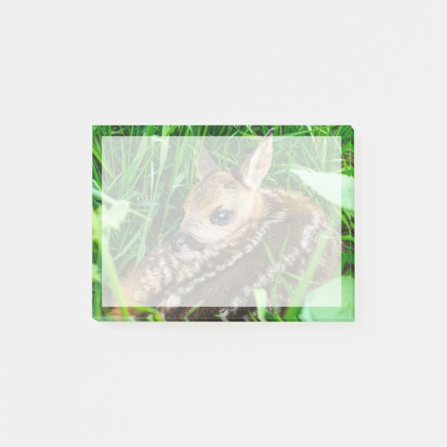 Cutest Baby Animals | Roe Deer Baby Post-it Notes (Front)