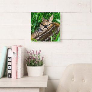 Cutest Baby Animals Roe Deer Baby Square Wall Clock