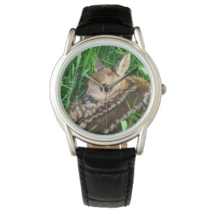 Cutest Baby Animals   Roe Deer Baby Watch