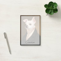 Cutest Baby Animals | Royal Chihuahua Portrait