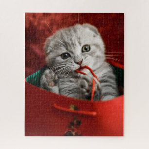 Cutest Baby Animals   Scottish Fold Kitten Jigsaw Puzzle