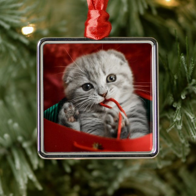 Cutest Baby Animals | Scottish Fold Kitten Metal Tree Decoration (Tree)