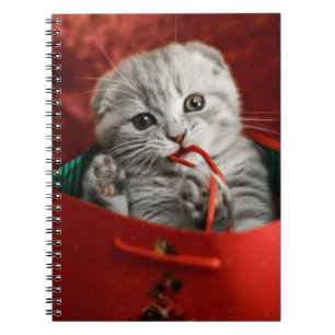 Cutest Baby Animals   Scottish Fold Kitten Notebook