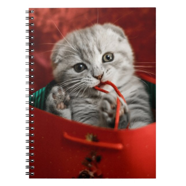 Cutest Baby Animals | Scottish Fold Kitten Notebook (Front)