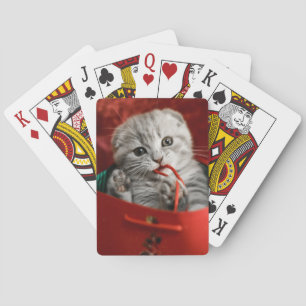 Cutest Baby Animals Scottish Fold Kitten Playing Cards