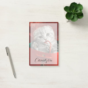 Cutest Baby Animals   Scottish Fold Kitten Post-it Notes