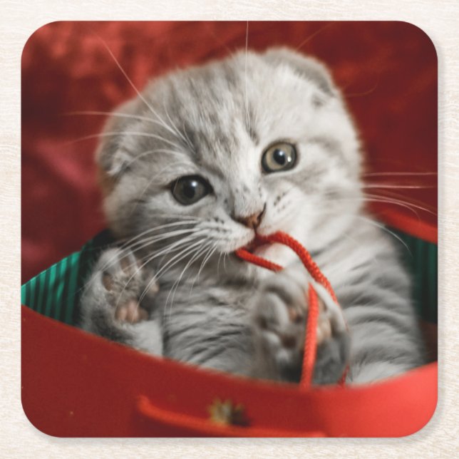 Cutest Baby Animals | Scottish Fold Kitten Square Paper Coaster (Front)