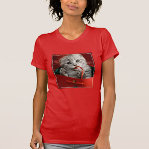 Cutest Baby Animals Scottish Fold Kitten T-Shirt