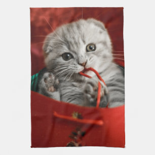 Cutest Baby Animals Scottish Fold Kitten Tea Towel