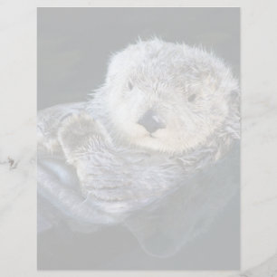 Cutest Baby Animals Sea Otter Floating