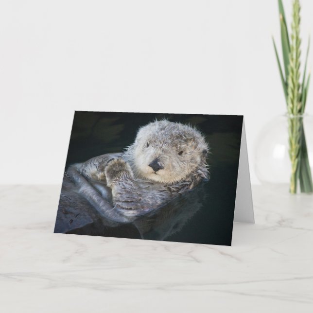 Cutest Baby Animals | Sea Otter Floating Card (Front)