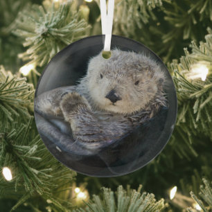 Cutest Baby Animals   Sea Otter Floating Glass Tree Decoration