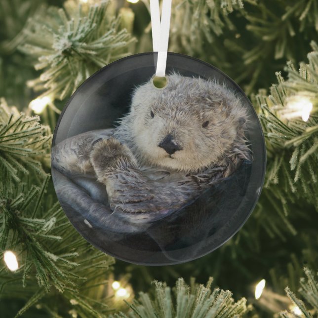 Cutest Baby Animals | Sea Otter Floating Glass Tree Decoration (Insitu)