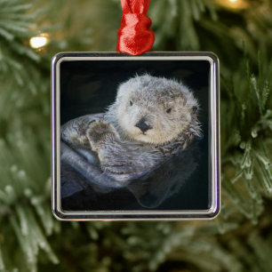 Cutest Baby Animals   Sea Otter Floating Metal Tree Decoration
