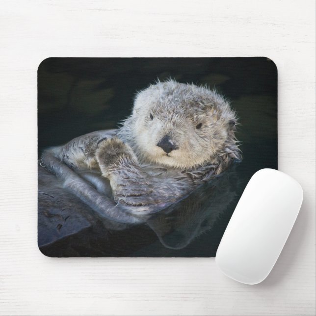 Cutest Baby Animals | Sea Otter Floating Mouse Mat (With Mouse)