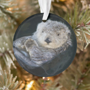 Cutest Baby Animals   Sea Otter Floating Ornament