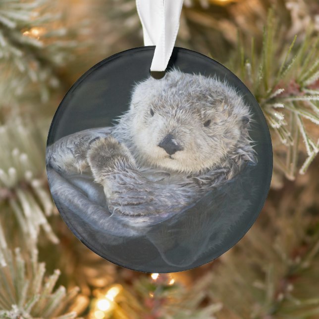 Cutest Baby Animals | Sea Otter Floating Ornament (Tree)