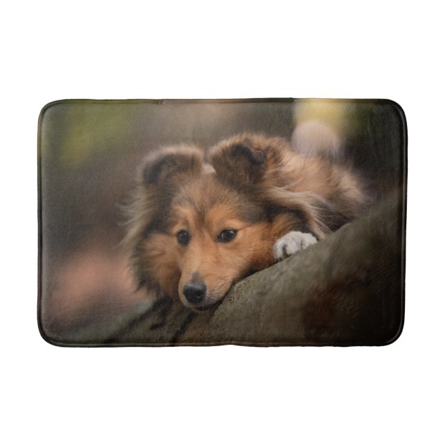 Cutest Baby Animals | Shetland Sheepdog Puppy Bath Mat (Front)