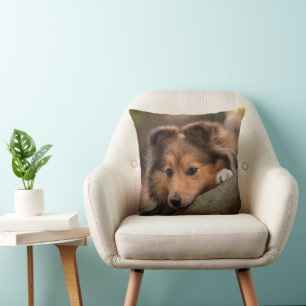 Cutest Baby Animals Shetland Sheepdog Puppy Cushion