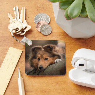 Cutest Baby Animals   Shetland Sheepdog Puppy Key Ring
