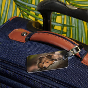 Cutest Baby Animals Shetland Sheepdog Puppy Luggage Tag