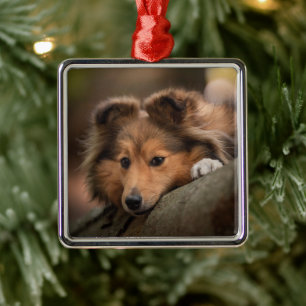 Cutest Baby Animals Shetland Sheepdog Puppy Metal Tree Decoration