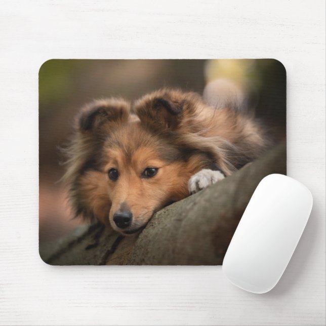 Cutest Baby Animals | Shetland Sheepdog Puppy Mouse Mat (With Mouse)