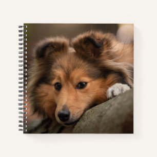 Cutest Baby Animals   Shetland Sheepdog Puppy Notebook