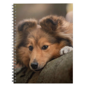 Cutest Baby Animals   Shetland Sheepdog Puppy Notebook