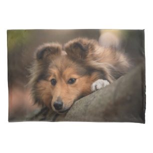 Cutest Baby Animals   Shetland Sheepdog Puppy Pillowcase