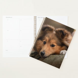 Cutest Baby Animals Shetland Sheepdog Puppy Planner