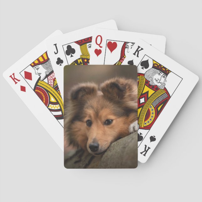 Cutest Baby Animals | Shetland Sheepdog Puppy Playing Cards (Back)