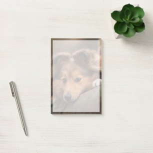 Cutest Baby Animals   Shetland Sheepdog Puppy Post-it Notes