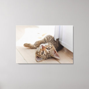 Cutest Baby Animals   Shorthair Tabby Kitten Canvas Print