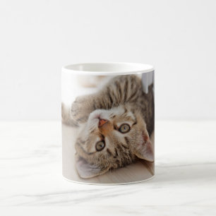 Cutest Baby Animals   Shorthair Tabby Kitten Coffee Mug