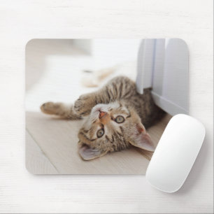 Cutest Baby Animals Shorthair Tabby Kitten Mouse Mat