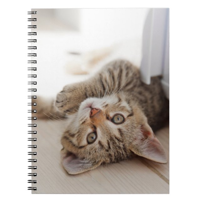 Cutest Baby Animals | Shorthair Tabby Kitten Notebook (Front)